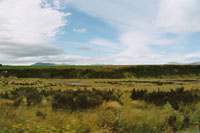 Glazial berformte Landschaft